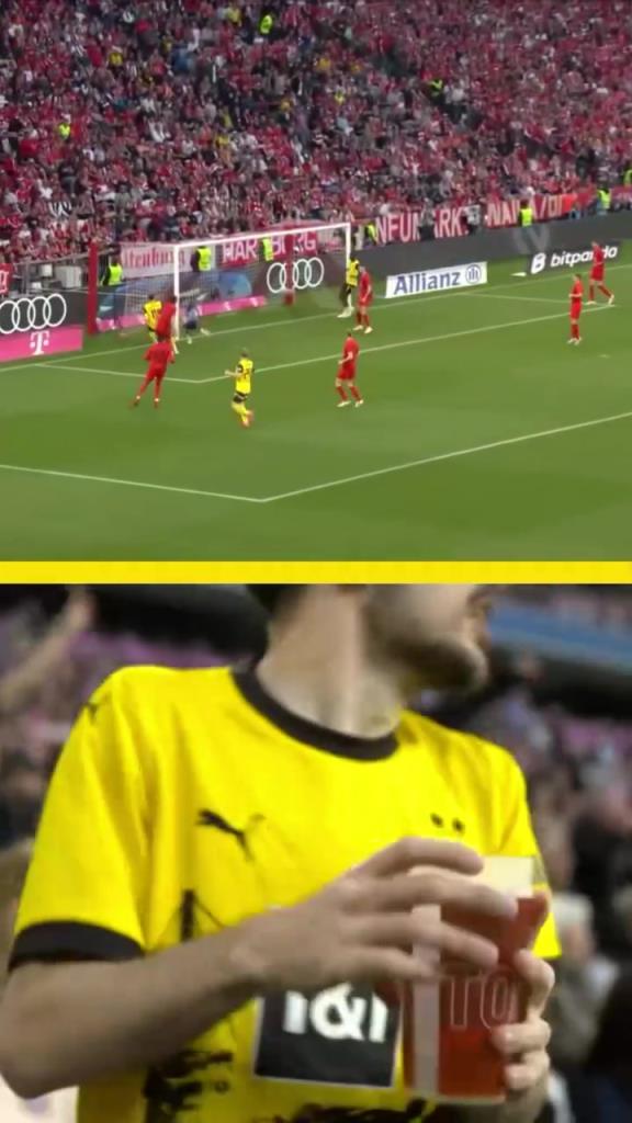 勇者無懼！這是真多特球迷！在拜仁球迷區一個人肆意慶祝！